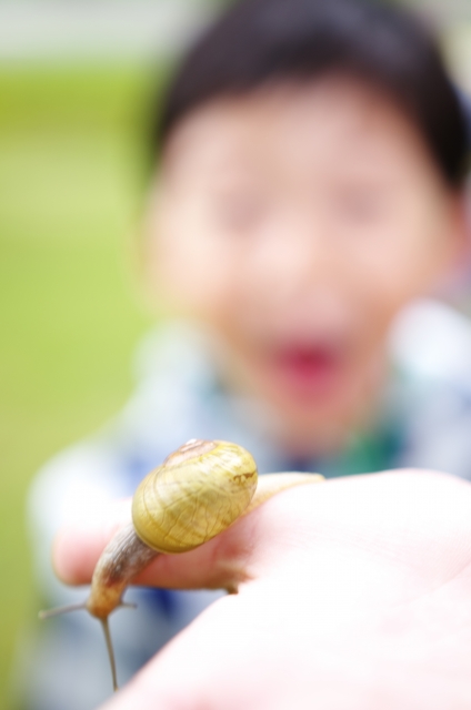夢占い カタツムリの夢は進歩を意味する パターンの意味まとめ 夢意味 Com