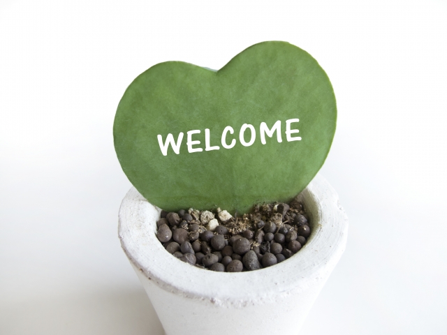 夢占いで観葉植物の夢の意味は 23のパターン別心理状態まとめ 夢意味 Com