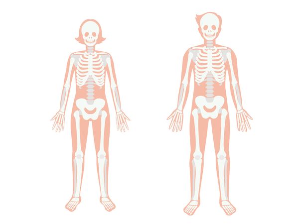 夢占い 骸骨 ドクロ夢の意味31パターンまとめ 夢意味 Com