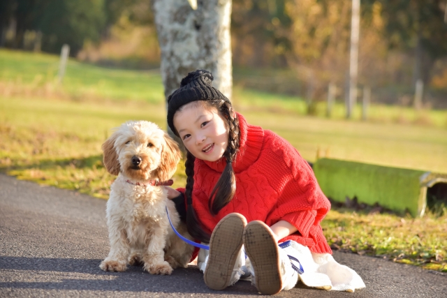 夢占いで犬の夢の意味は 50のパターン別心理状態まとめ 夢意味 Com