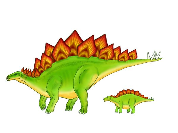 恐竜の夢の意味を診断 22のパターン別心理状態まとめ 夢意味 Com